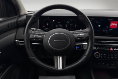 Hyundai Tucson 1.6 T-GDI PHEV N Line Executive aut