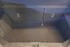 Ford Fiesta 1.0 Flexifuel 95 S&S BVM6 ST-Line
