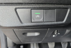 Dacia Sandero Stepway 100 cv 1 Eco-g Essential - GPL