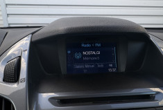 Ford Grand Tourneo Connect 16.tdci 115 cv titanium