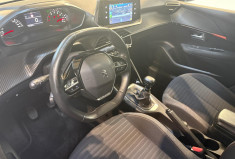 Peugeot 208 1.5 BLUE HDI 100 CV ACTIVE BUSINESS