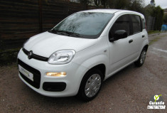 FIAT PANDA PANDA 1.2 70CV