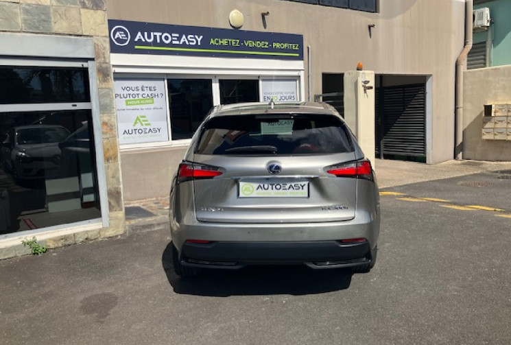 Lexus NX  300h 2.5 VVT-i 16V 197 Hybrid E-CVT 155 cv F SPORT