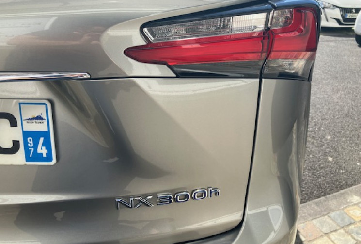 Lexus NX  300h 2.5 VVT-i 16V 197 Hybrid E-CVT 155 cv F SPORT