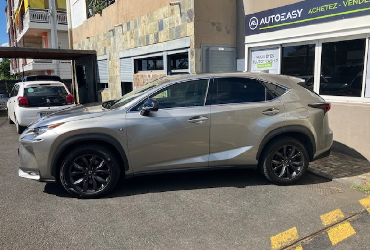 Lexus NX  300h 2.5 VVT-i 16V 197 Hybrid E-CVT 155 cv F SPORT